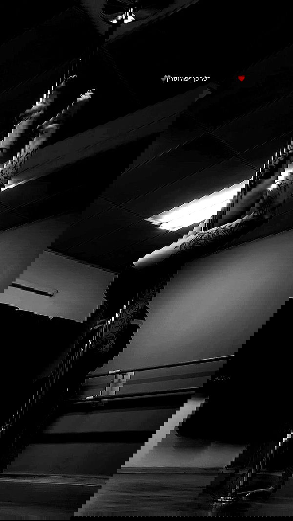 lital.shli lital.shli archive image