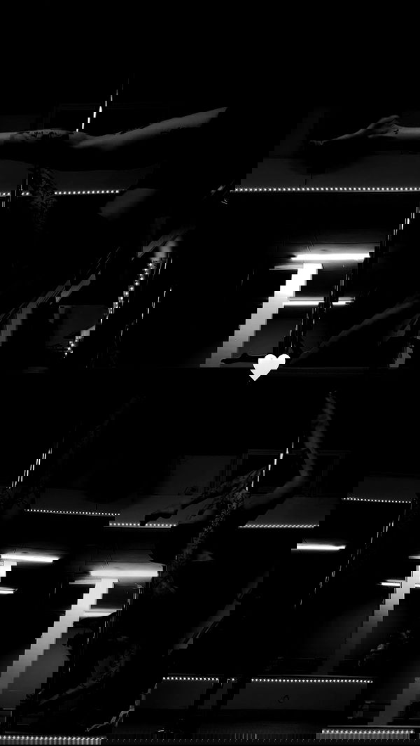 lital.shli lital.shli archive image