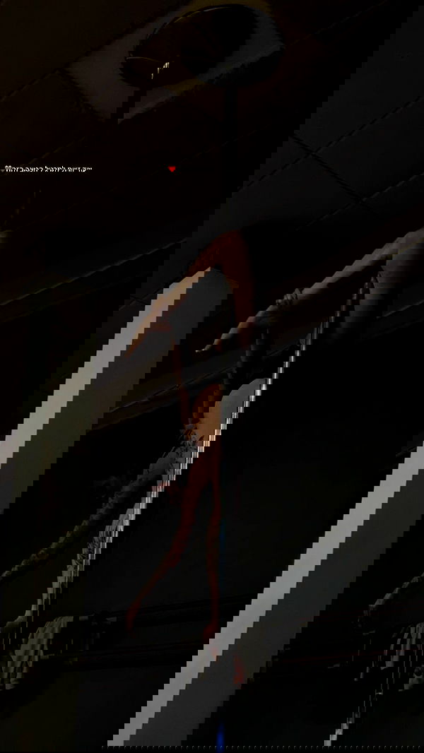 lital.shli lital.shli archive image