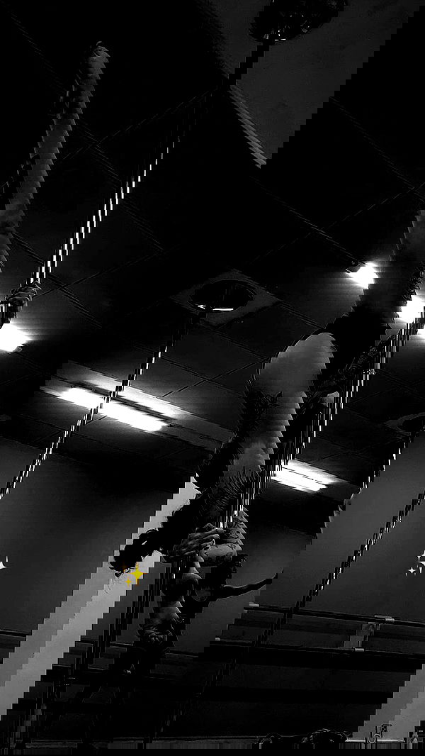 lital.shli lital.shli archive image