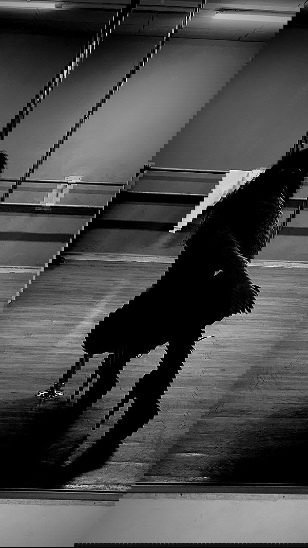 lital.shli lital.shli archive image