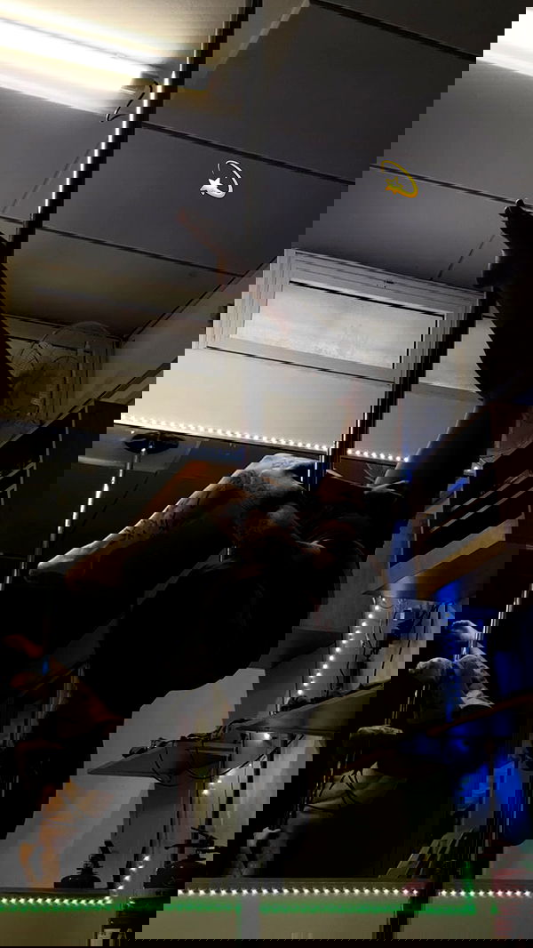 lital.shli lital.shli archive image