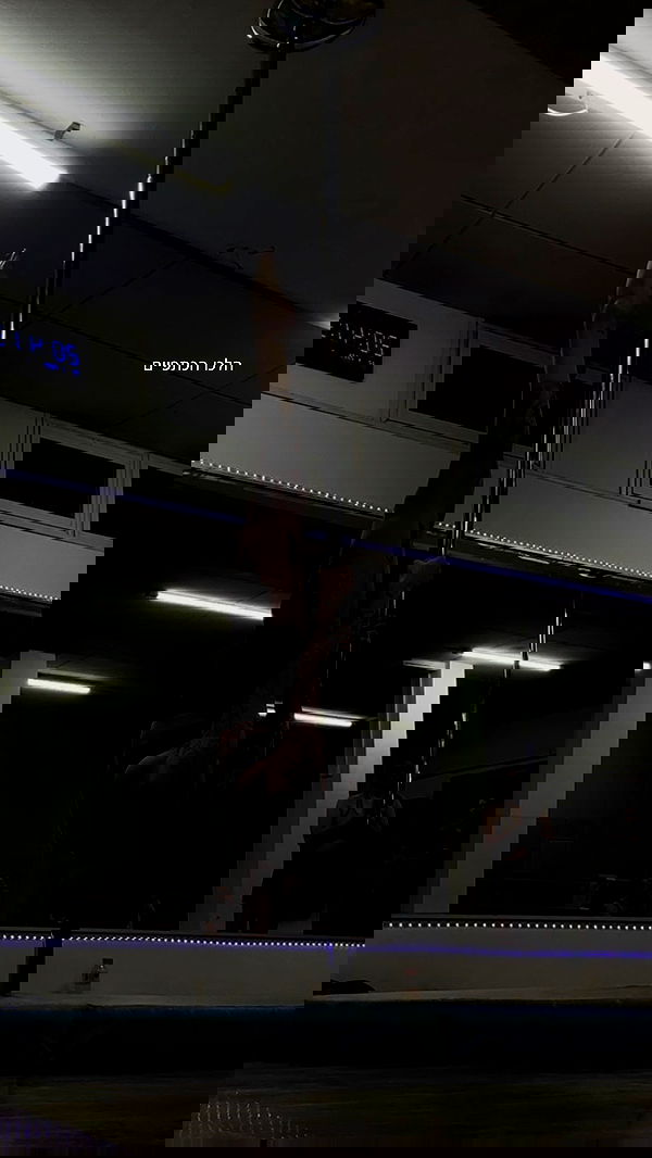 lital.shli lital.shli archive image