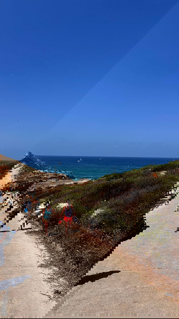 lital.shli lital.shli archive image