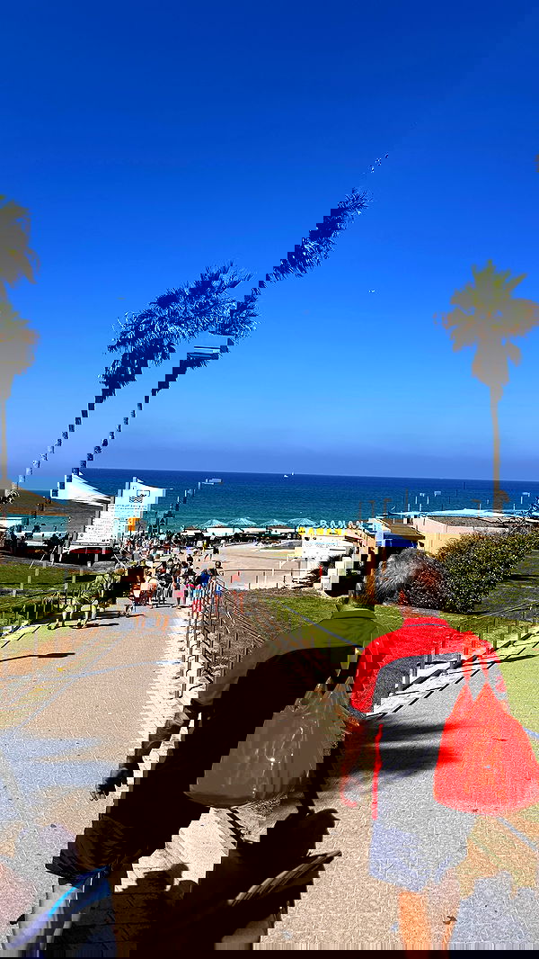 lital.shli lital.shli archive image