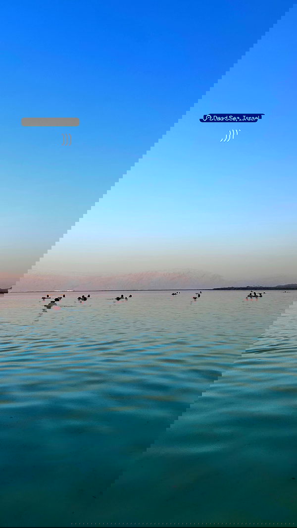 lital.shli lital.shli archive image