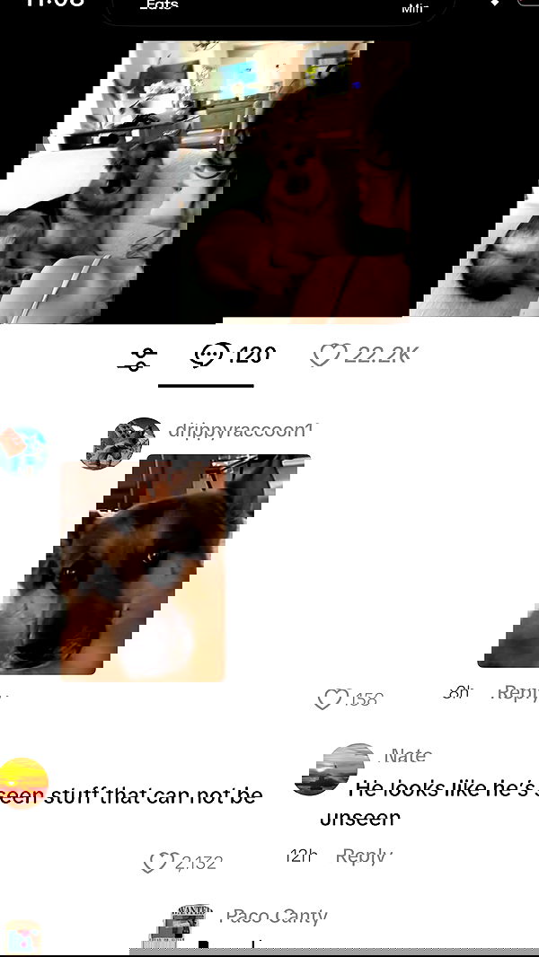 little.warren_ little.warren_ archive image