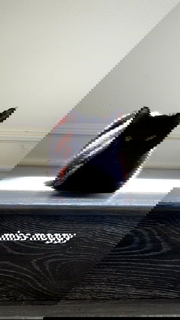 little.warren_ little.warren_ archive image