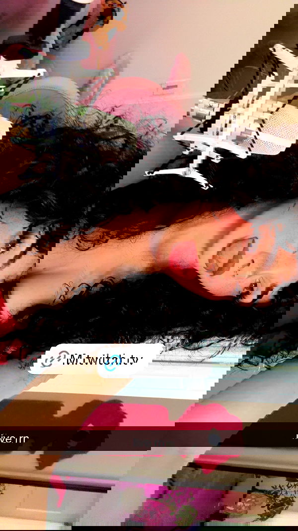 little.warren_ little.warren_ archive image