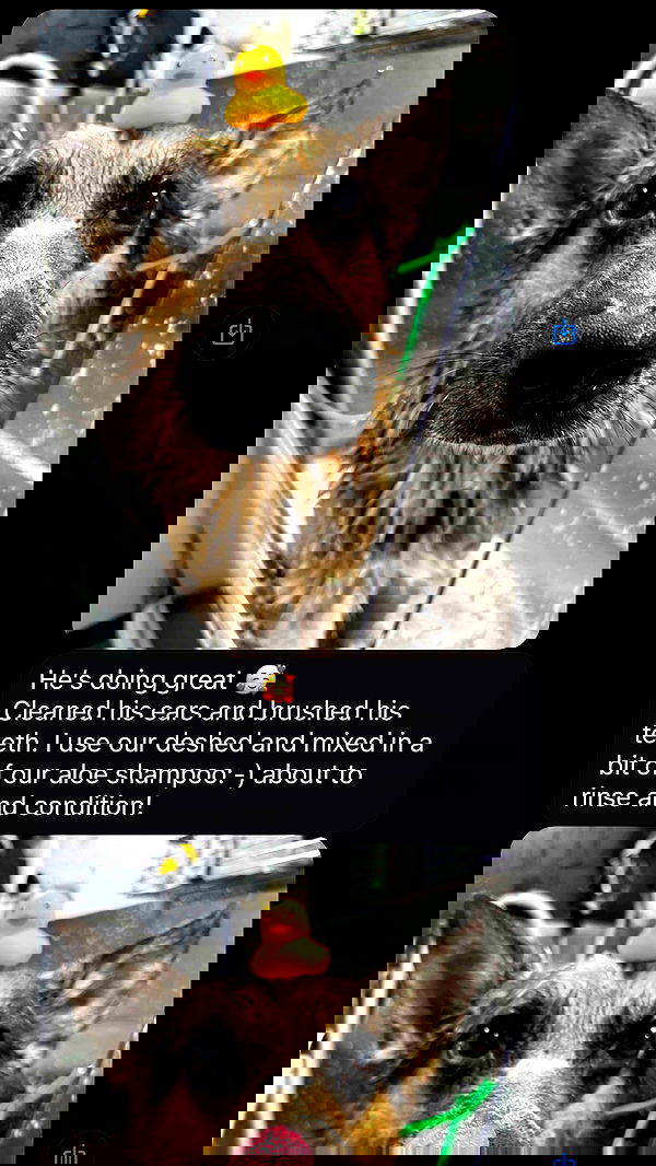 little.warren_ little.warren_ archive image