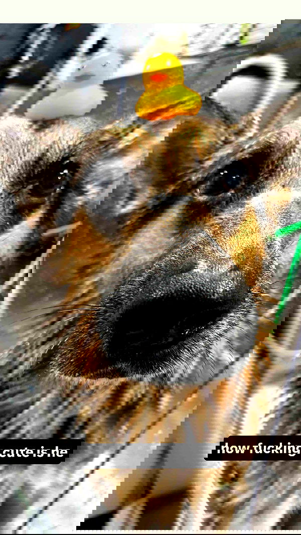 little.warren_ little.warren_ archive image