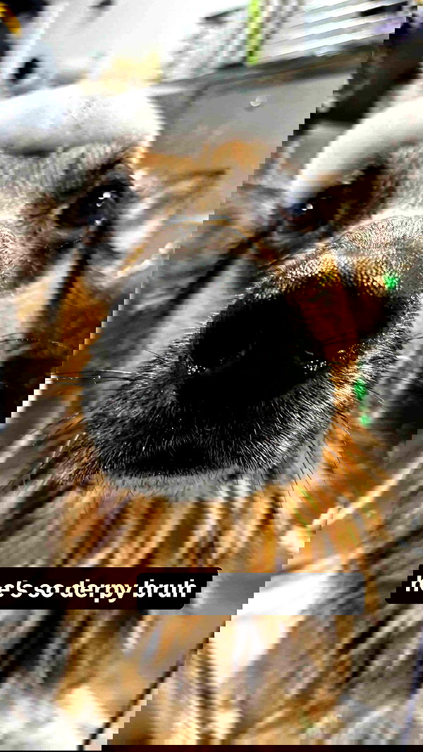 little.warren_ little.warren_ archive image