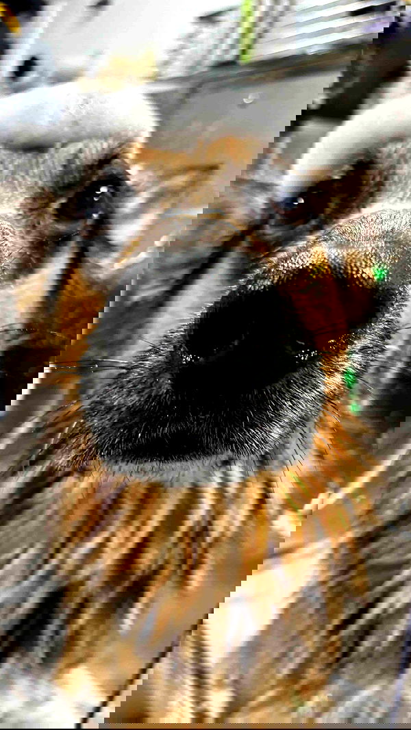 little.warren_ little.warren_ archive image