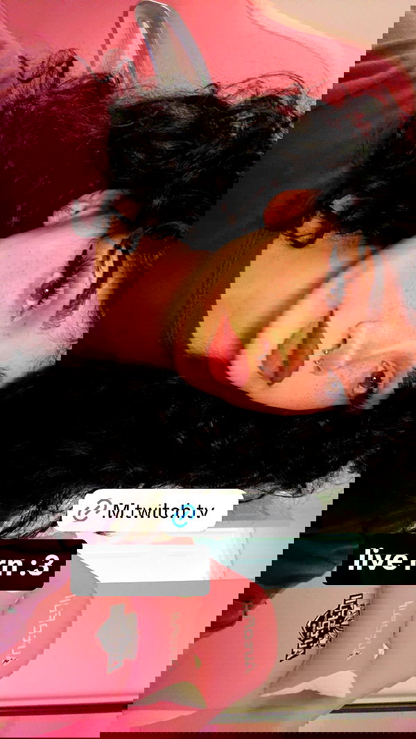 little.warren_ little.warren_ archive image