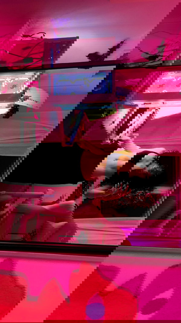 little.warren_ little.warren_ archive image