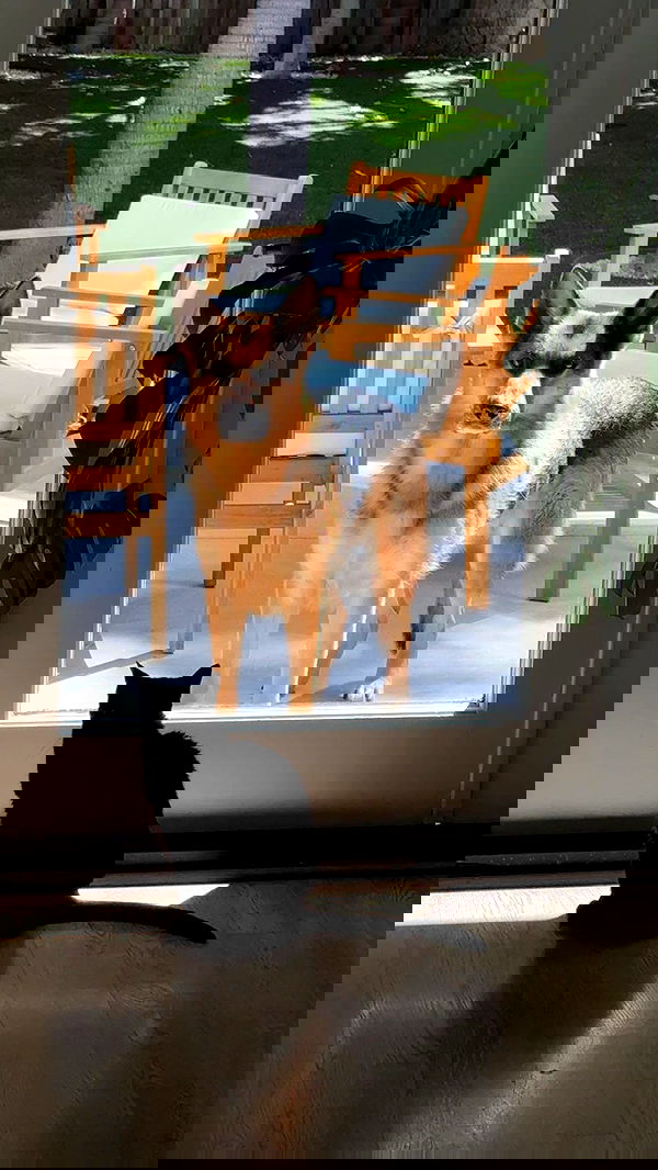 little.warren_ little.warren_ archive image