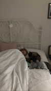 littlechurchdoll Altpins Profile Picture