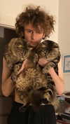 littlechurchdoll Altpins Profile Picture