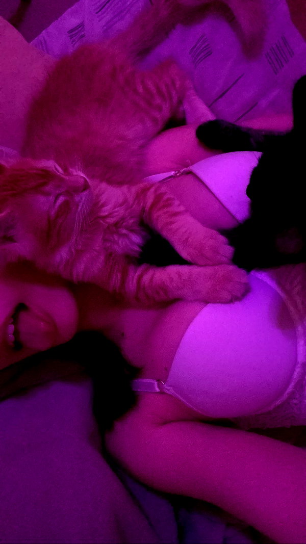 littlemiauwu instagram image archive image