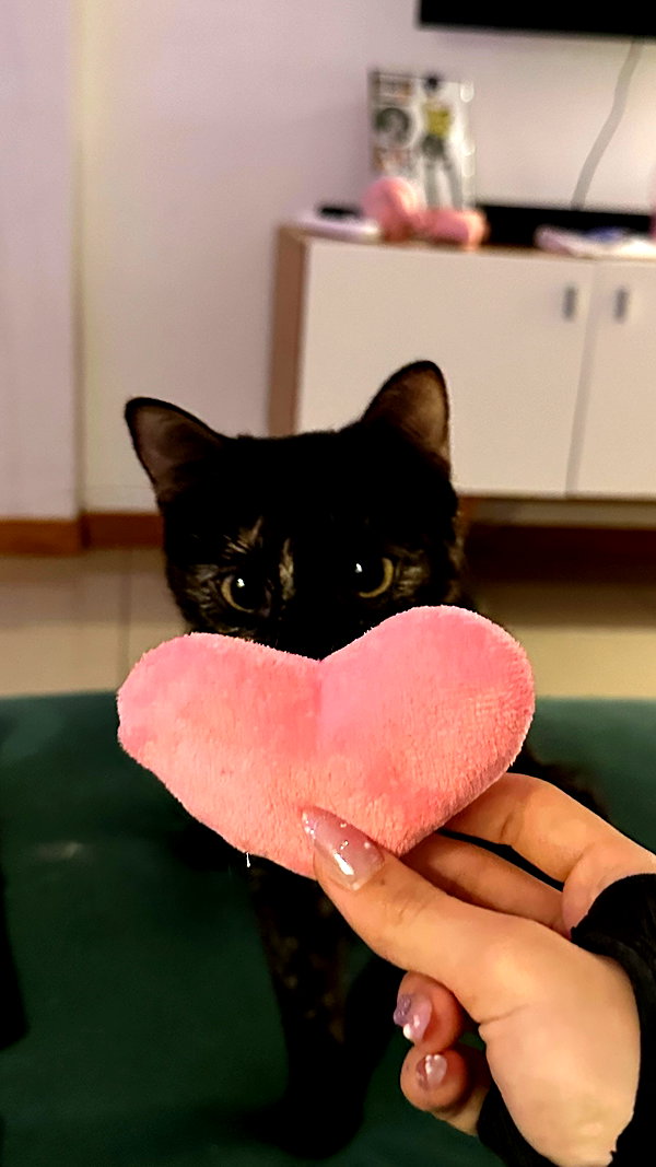 littlemiauwu instagram image archive image