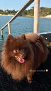lizakovalenkoo Altpins Profile Picture