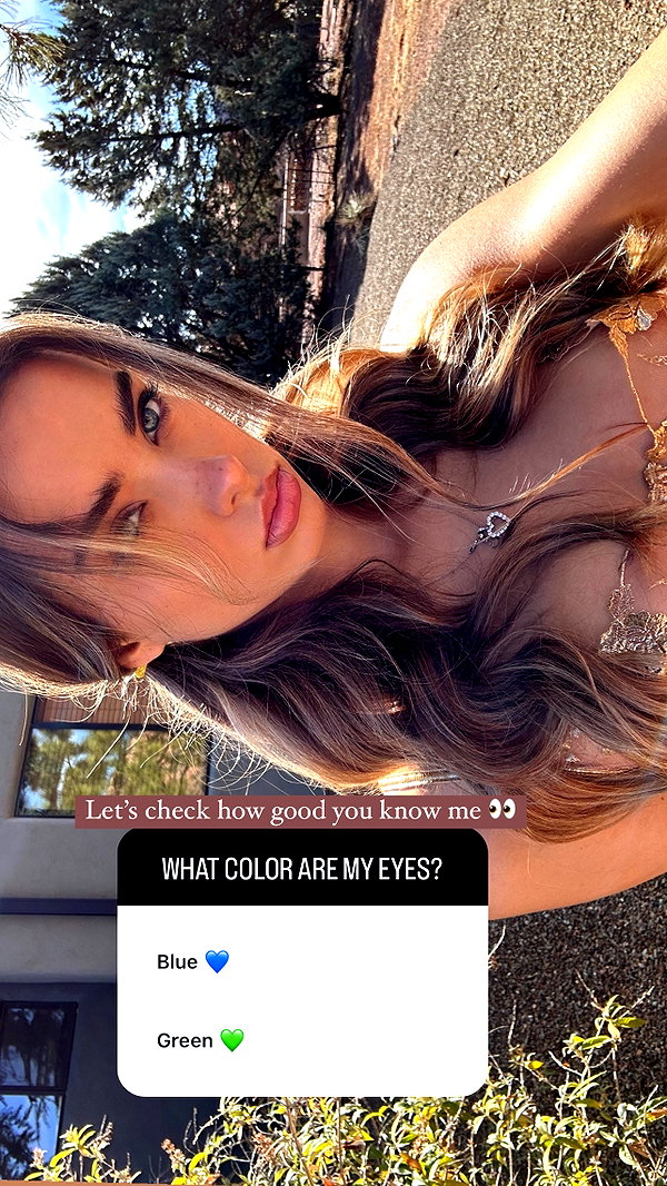 lizakovalenkoo instagram image archive image