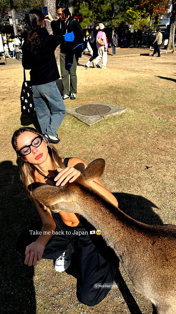 lizakovalenkoo instagram image archive image
