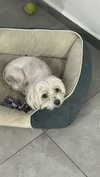 lizi.nazar Altpins Profile Picture