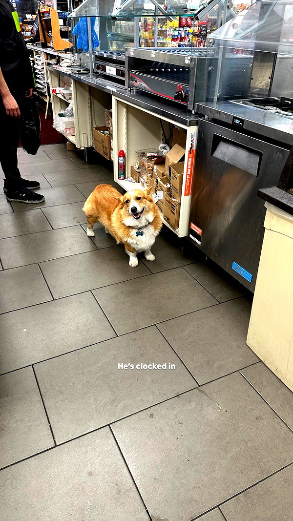 lizrrossi instagram image archive image