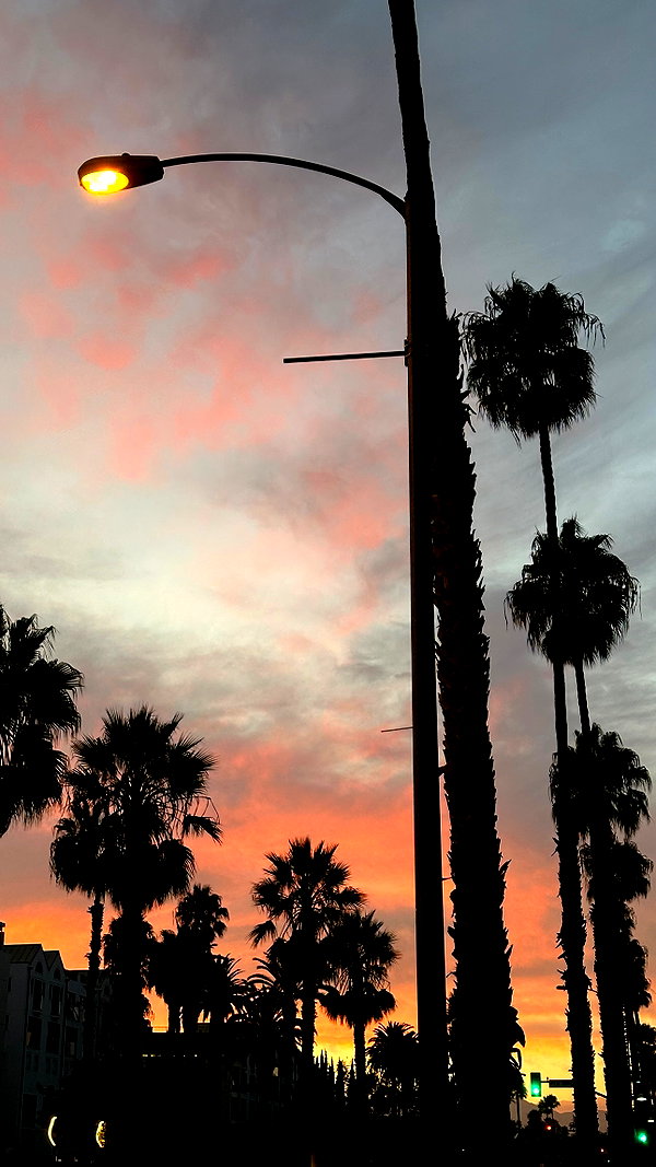 lizrrossi instagram image archive image