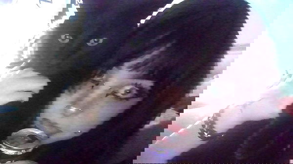 llilbby llilbby archive image