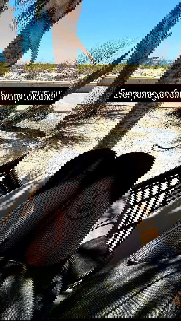 llilbby llilbby archive image