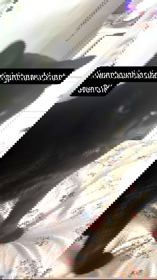 llilbby llilbby archive image