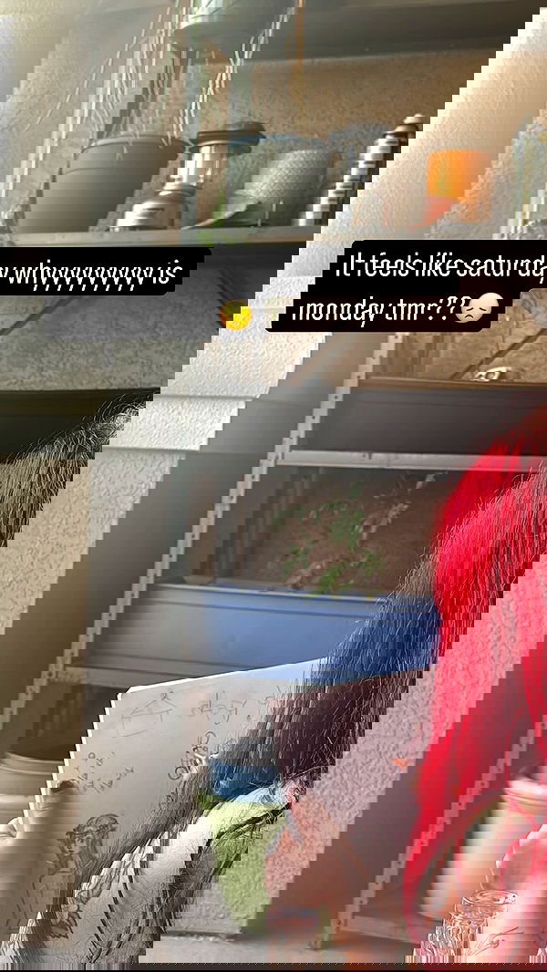 llilbby llilbby archive image