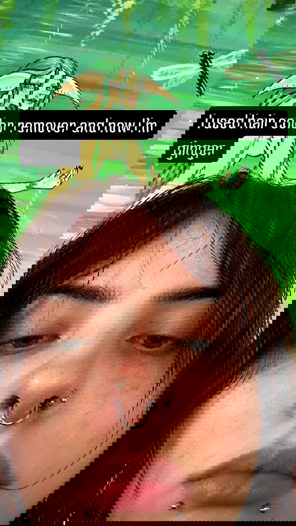 llilbby llilbby archive image