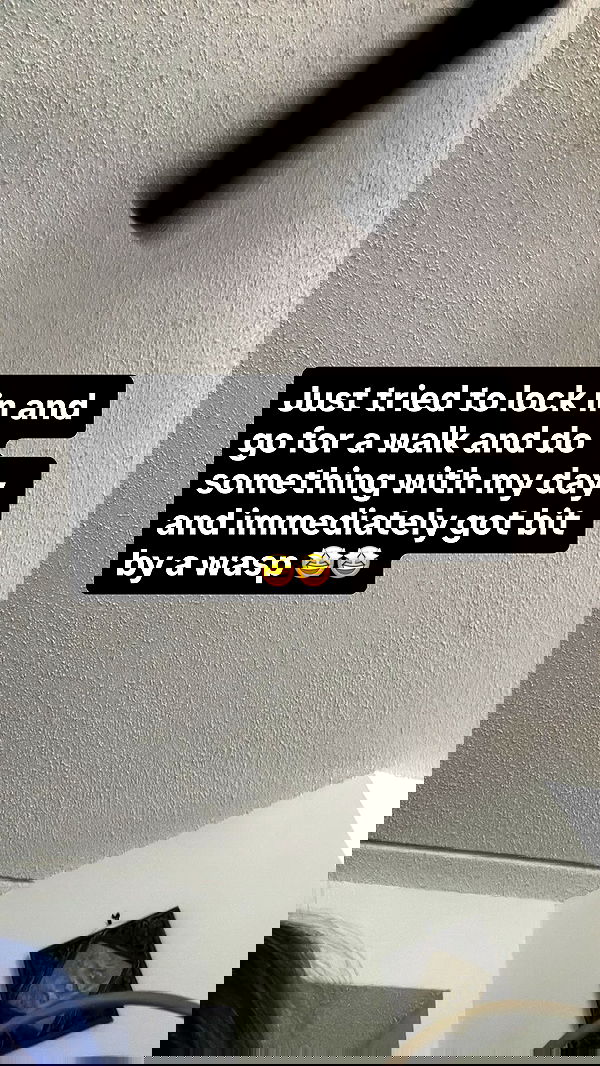 llilbby llilbby archive image