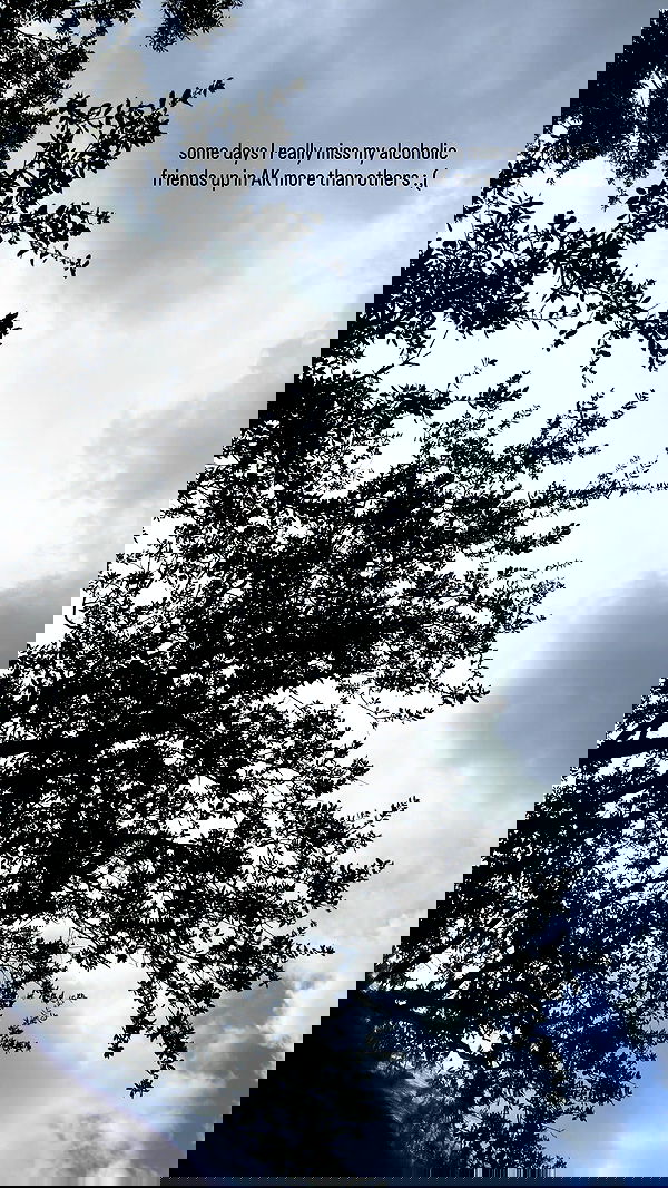 llilbby llilbby archive image