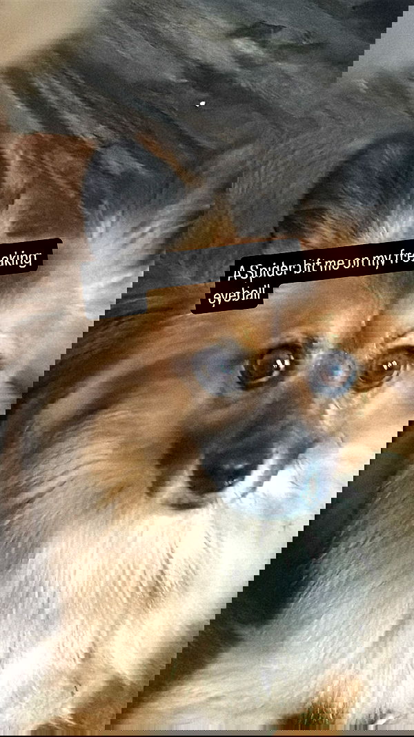 llilbby llilbby archive image