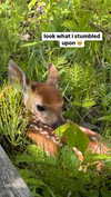 lola.luvgood Altpins Profile Picture