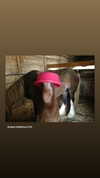 lola.luvgood Altpins Profile Picture