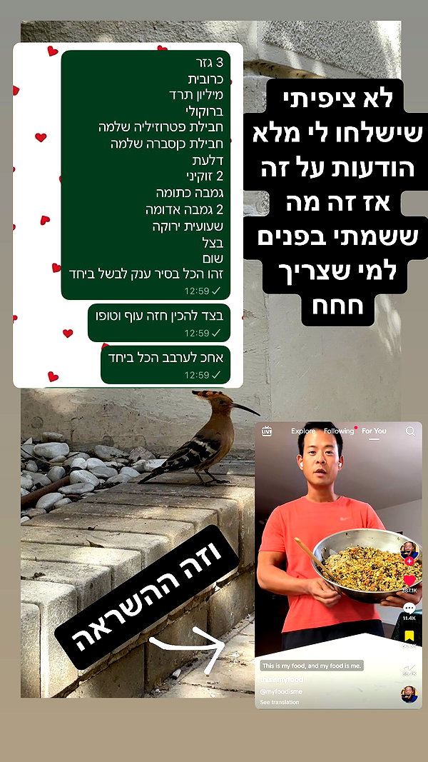 lotembar instagram image archive image