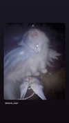 lovingmeg Altpins Profile Picture