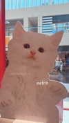 lovingmeg Altpins Profile Picture