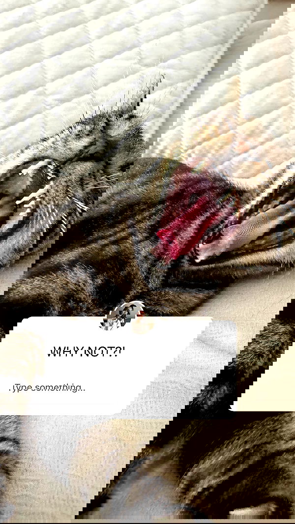 lu2hot lu2hot archive image