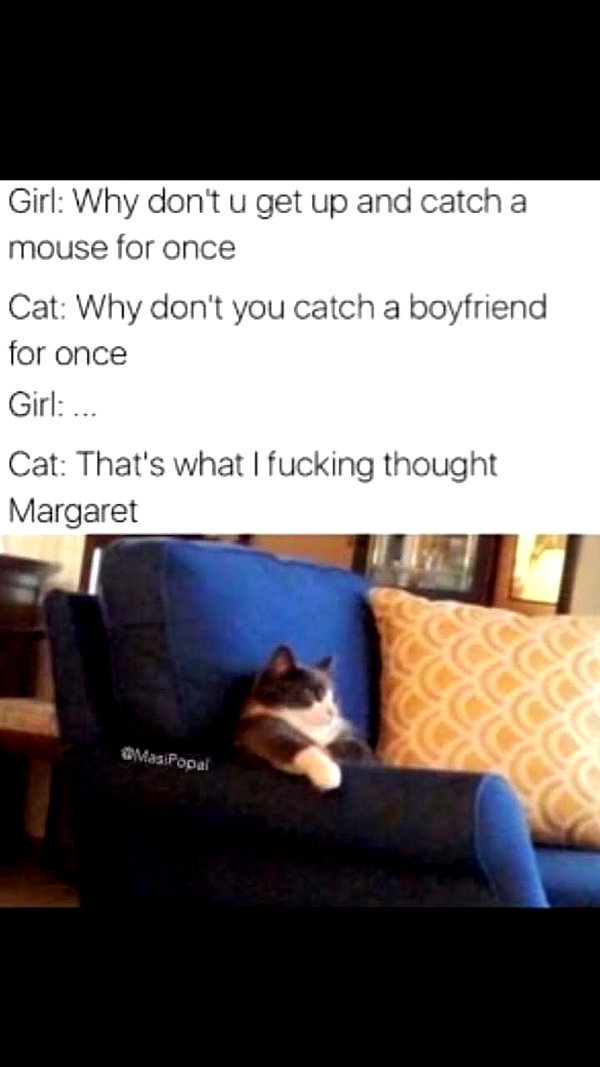 lucymilkmeow instagram image archive image