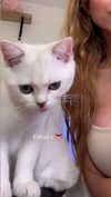 luuminizer Altpins Profile Picture