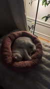 luuminizer Altpins Profile Picture
