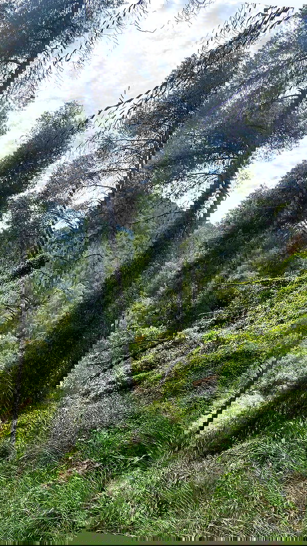 m1ry2m_ m1ry2m_ archive image