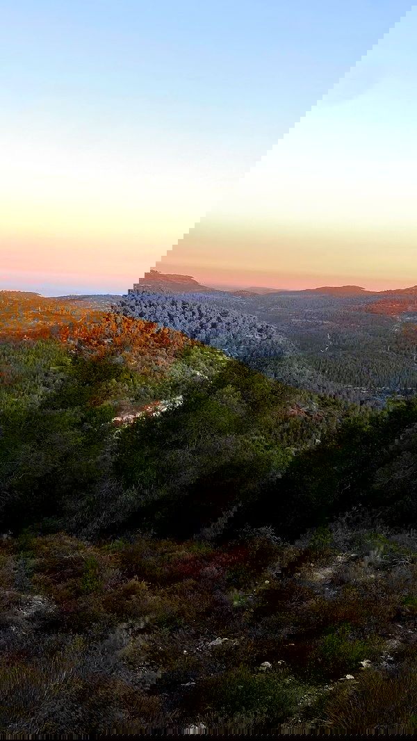 m1ry2m_ m1ry2m_ archive image