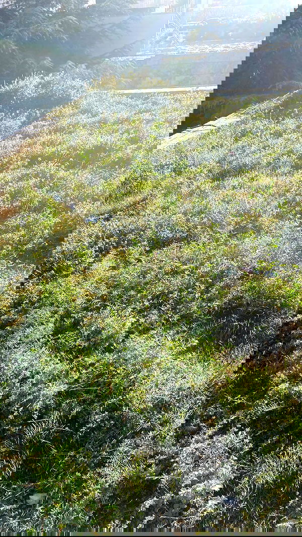 m1ry2m_ m1ry2m_ archive image